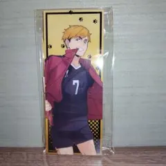 ハイキュー アクリルスタンド 孤爪研磨 プリンスホテル サンシャイン