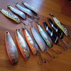 2025年最新】パラバン サラマンダー バッハスペシャルの人気