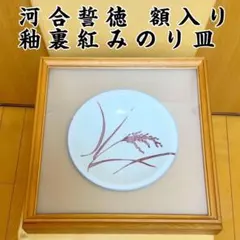 釉裏紅みのり皿 河合誓徳作 額入り 2025年最新】河合誓徳の人気アイテム - メルカリ