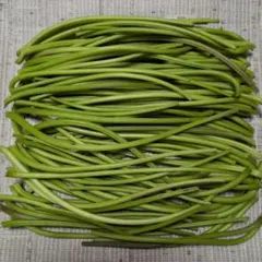 国産　農薬不使用　さつまいものつる　ネコポス　本日10月4日収穫　約400ｇ　③