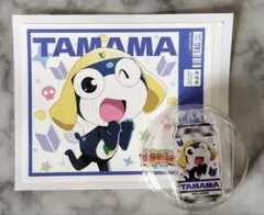 ケロロ軍曹 タママ缶バッジ アクリルキーホルダー 花やしき - メルカリ