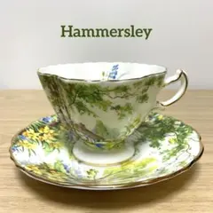 美品 ロイヤルウースター ブラインドアール カップ&ソーサー 