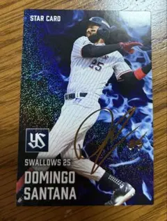 プロ野球チップス ヤクルトスワローズ サンタナ サイン入り
