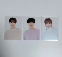 SEVENTEEN カフェ トレカ 3枚セット ジュン ホシ ディノ