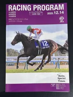 12/14日 中央競馬 阪神ジュベナイルフィリーズ レーシングプログラム ②