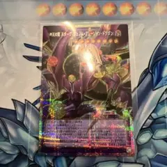 四天の龍　スターヴヴェノムフュージョンドラゴン　オーバーフレーム　プリズマ