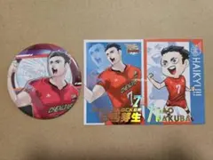 2026年最新】ハイキュー オールスターコレクション vリーグの人気