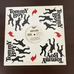 Naughty By Nature 12インチシングル