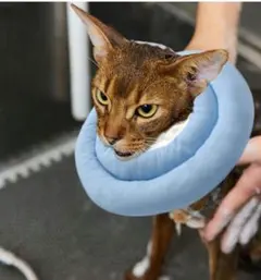 Item thumbnail for item 9756f301-74fa-4626-8789-c909d07557ae