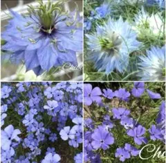 まゆもきゅ様 リクエスト 4点 まとめ商品