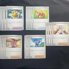 ミモザ サワロ ハヤト ゴツゴツメット ピクニックバスケット