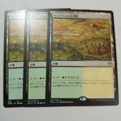 MTG サングラスの大草原 日本語 foil - メルカリ