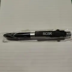 Item thumbnail for item 61a93e14-0e18-452b-ad24-d15d34405b05