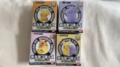ポケモンキッズ ピカチュウ メタモン 30周年スペシャル vol.2編