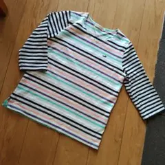 Crocodile Tシャツ