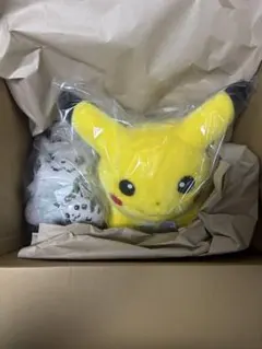 おかえりピカチュウ1/1 はじまりのピカチュウ3点セット 新品