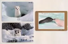 Item thumbnail for item fdb88f17-255f-4de3-aa49-6e7a87974e6f