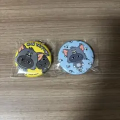 BOYNEXTDOOR ボネクド プネクド アクスタ テサン ハンテップン - メルカリ