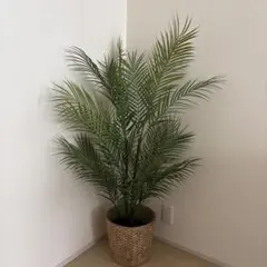 GREENPARK PRIMA シダ レムリアポット 210cmフェイクグリーン - メルカリ