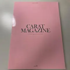 2026年最新】seventeen会報誌の人気アイテム - メルカリ