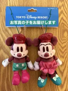 新作　新品タグ付き　ぬいぐるみチャーム　さくらんぼ　チェリー　ディズニーリゾート