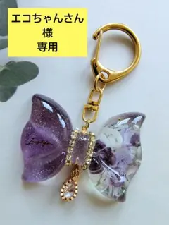 エコちゃんさん様 リクエスト 2点 まとめ商品