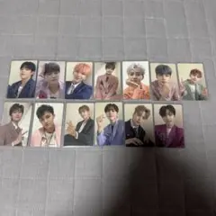 SEVENTEEN セブチ 舞い落ちる花びら 全員 トレカ13枚セット