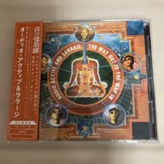 Audio Active Laraaji 国内盤 帯付 リマスター ボートラ