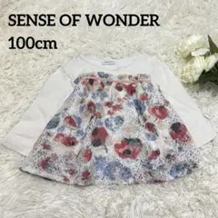 Item thumbnail for item f31e26c2-3527-487e-af27-5b21948272f2