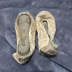 Item thumbnail for item 61c4ad78-c02c-4aa0-a4e2-4329f2ec79f6