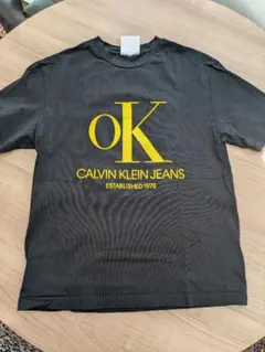 Calvin Klein Jeans ESTABLISHED.1978 Tシャツ