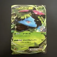 2026年最新】フシギバナEX プロモの人気アイテム - メルカリ
