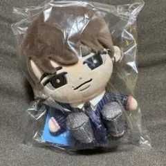 【新品未開封】すのチル ぶら下がらないシリーズ BIG ぬいぐるみ 渡辺翔太