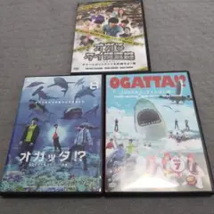 『熊』さま専用になります。