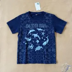 Item thumbnail for item af6f5159-2620-4c29-a2bb-c10bbf50abd0