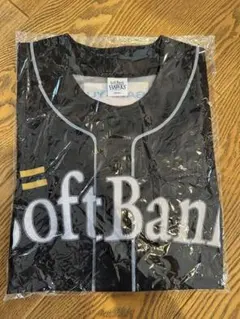 ユニフォーム 応援グッズ