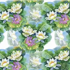 さっちん様専用