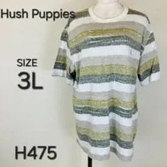 Hush Puppies ハッシュパピー 半袖Tシャツ ボーダー H475のサムネイル