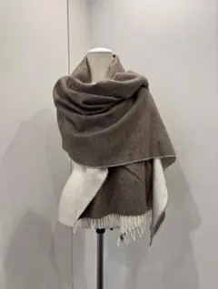 Item thumbnail for item bb3042e5-52e8-4faf-8e20-b3b1134000ee