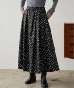 スローブイエナ　ランダムタックスカート