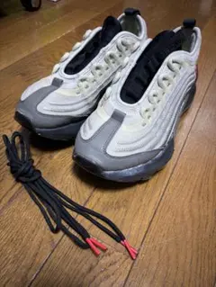 Nike AIR MAX zoom950 バストグレー　日本限定