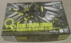 HG ライジングフリーダム（リサーキュレーションカラー）