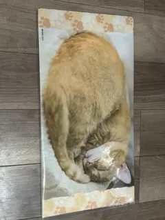 トレカサプライくじEX 猫これくしょん ファイナルドロー賞 プレイマット トレカサプライくじEX 猫これくしょん ファイナルドロー賞 プレイ