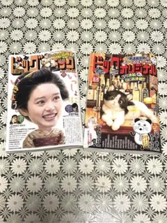 最新号　ビッグコミック　ビッグコミックオリジナル　2冊セット　最新号