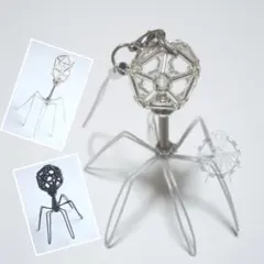 【タイプA】ファージストラップ(大)