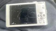 Item thumbnail for item 1ef66f40-1ba6-4a91-852c-55b6fbfe4016