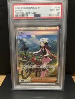 ヒカリ SAR MEGA 拡張パック インフェルノX 115/080