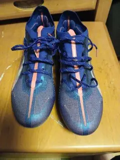 Item thumbnail for item ed200a1e-51e5-499f-91bd-9ef4bb391343