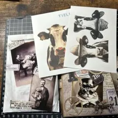 ちはぴょん❤️様専用