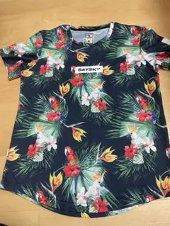 Item thumbnail for item 9451bd5e-46f0-4f38-9a25-4985ada00764